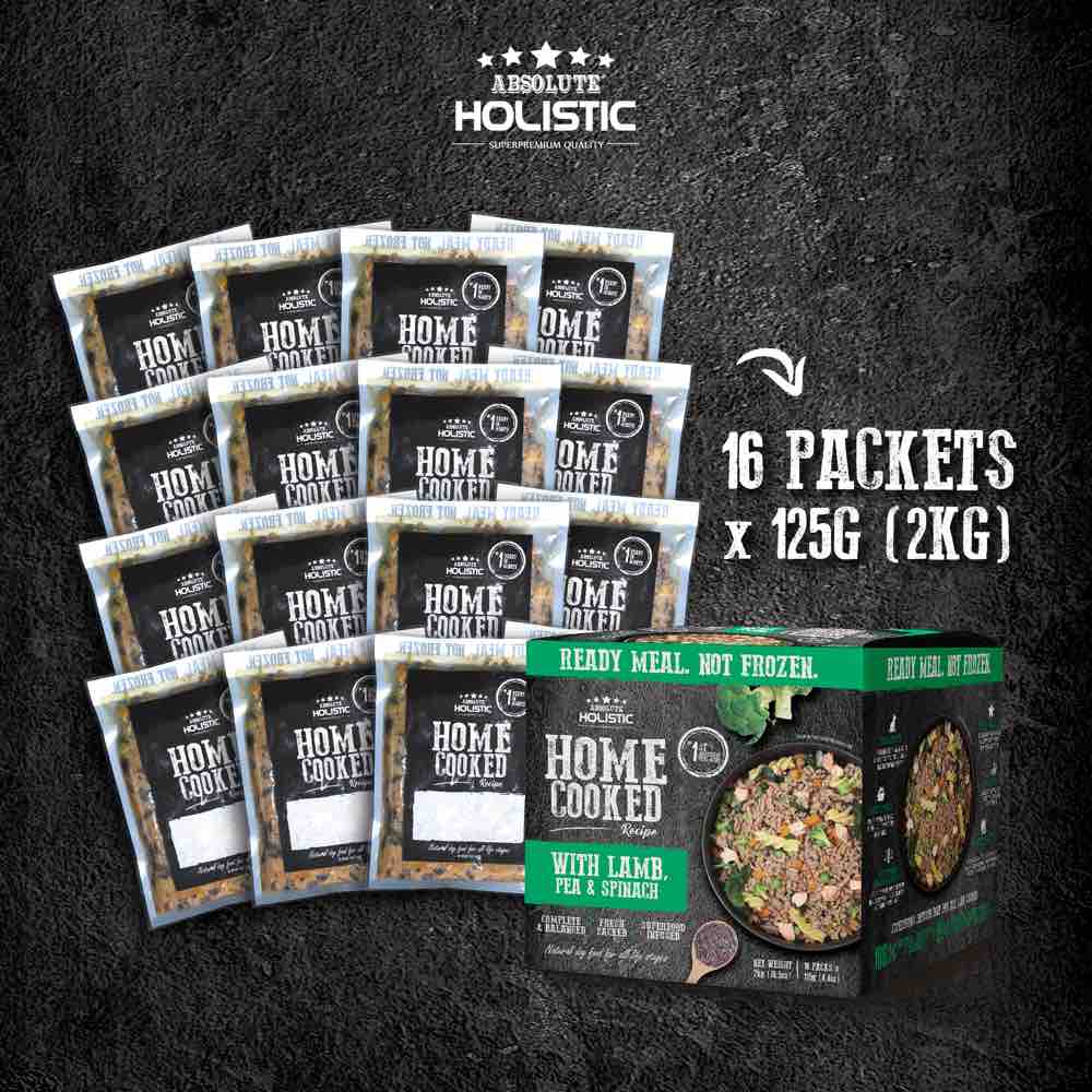 "UP TO 35% OFF: Absolute Holistic Home Cooked Recipe Salmon, Peas & Pumpkin Wet Dog Food"