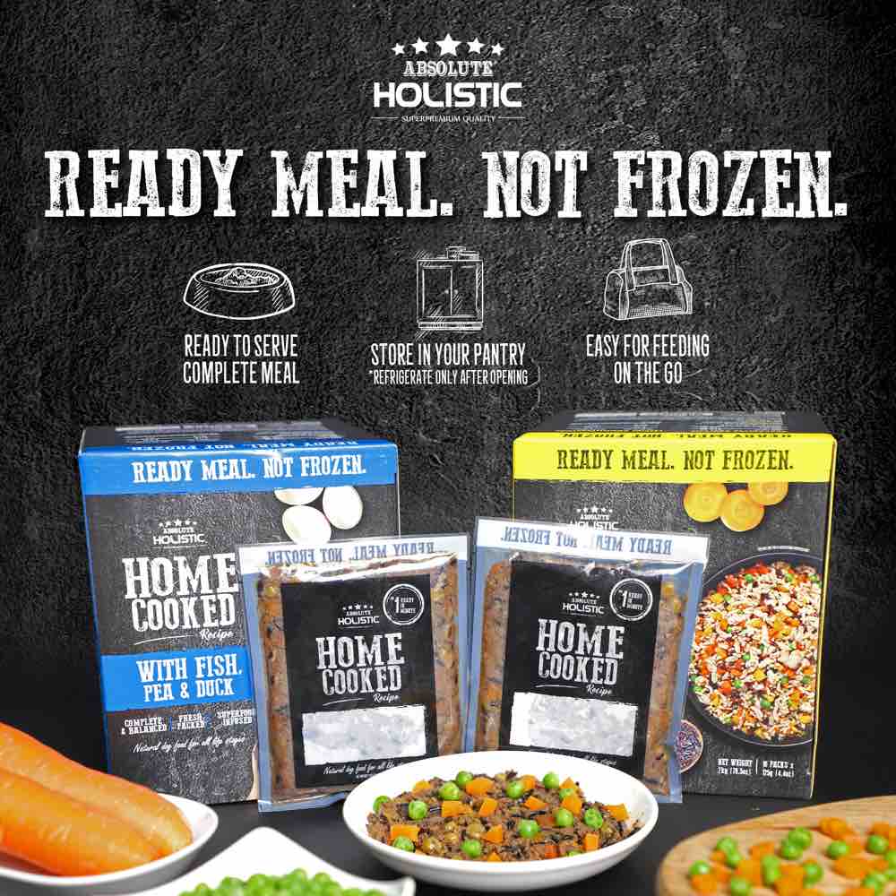 "UP TO 35% OFF: Absolute Holistic Home Cooked Recipe Salmon, Peas & Pumpkin Wet Dog Food"