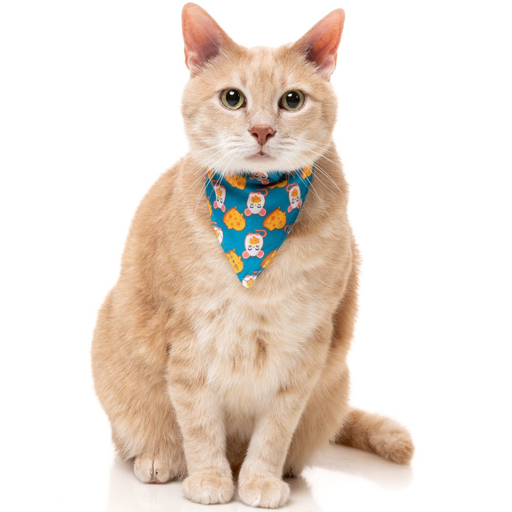 "FuzzYard Cat Collar, Bandana & Bowtie Fashion Pack (Cheesy Hearts)"