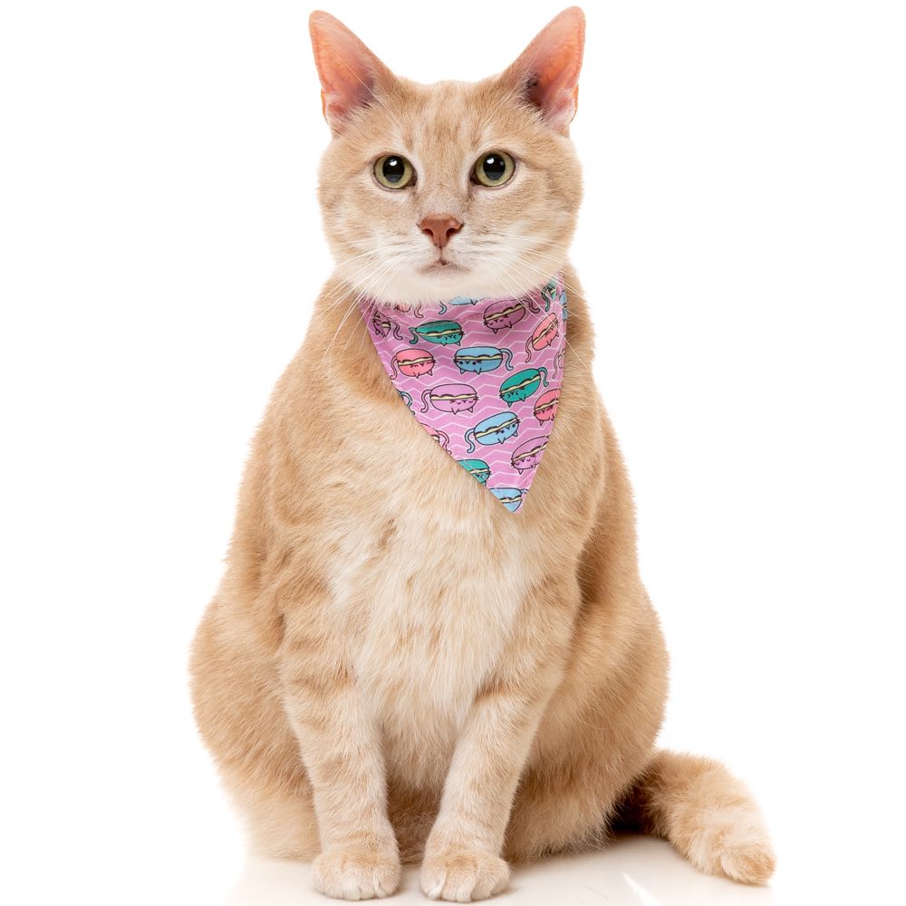 "FuzzYard Cat Collar, Bandana & Bowtie Fashion Pack (Meowcarons)"