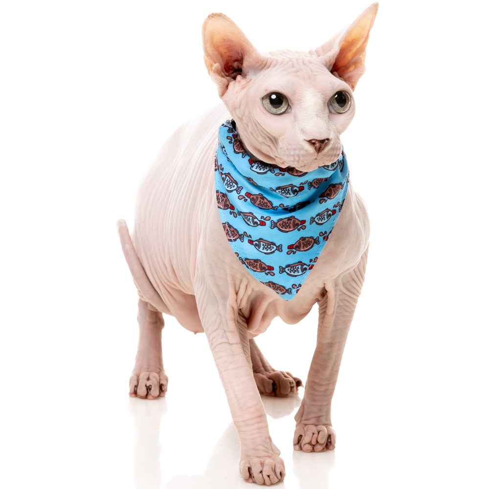 "FuzzYard Cat Collar, Bandana & Bowtie Fashion Pack (Soy Sauce Fish)"