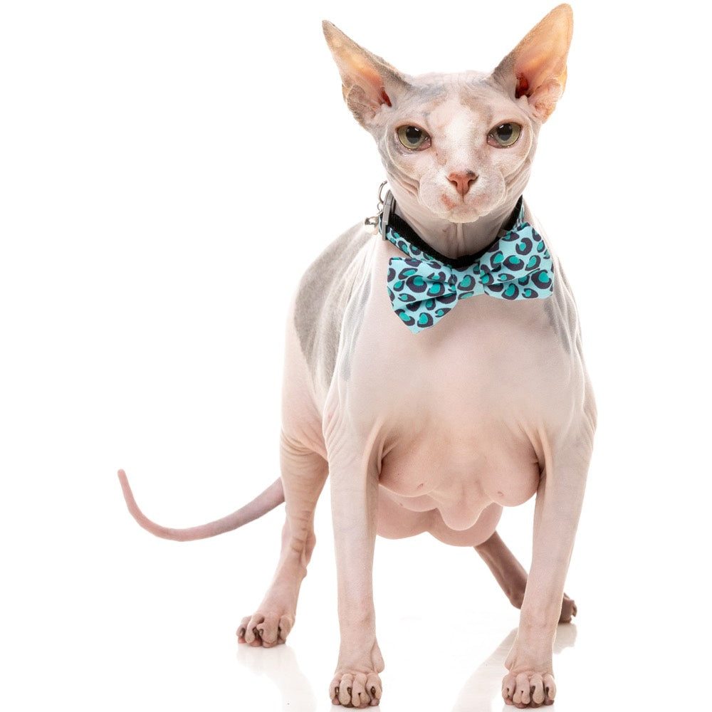 "FuzzYard Cat Collar, Bandana & Bowtie Fashion Pack (Wild One Aqua)"