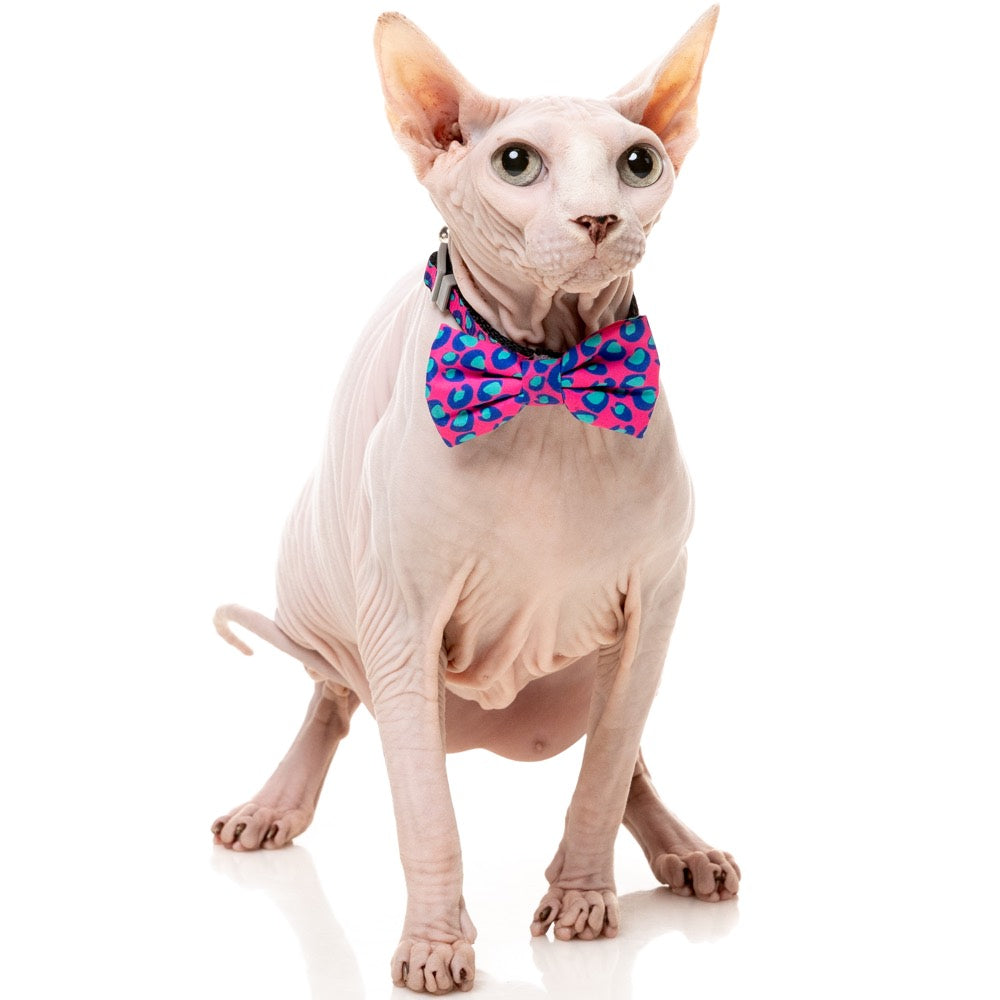 "FuzzYard Cat Collar, Bandana & Bowtie Fashion Pack (Wild One Bubblegum)"