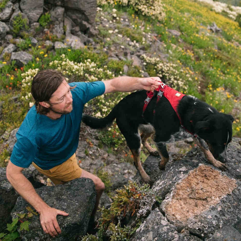 Ruffwear Flagline Lightweight No-Pull Handled Dog Harness (Blue Dusk)